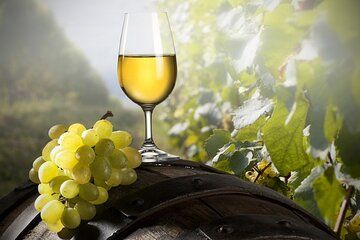 Green Wine: Private Tour with Guimarães or Amarante from Porto