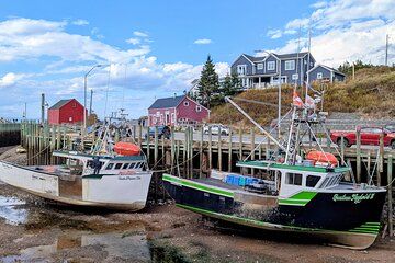 Annapolis Valley Experience Small Group Full Day Tour