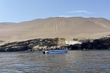 Paracas Tour: Ballestas Islands and Sunset Hike