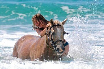 Horse Ride 3Hour, Desert, Beach, Swimming & Transfers in Hurghada