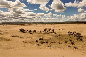 5 Days in central Mongolia