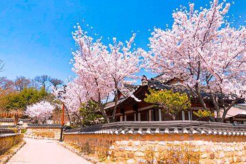 Busan to Gyeongju UNESCO Legacy Tour
