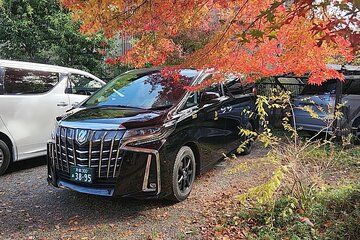 Private Tours by Luxurious Vans in Kyoto, Osaka, Nara.