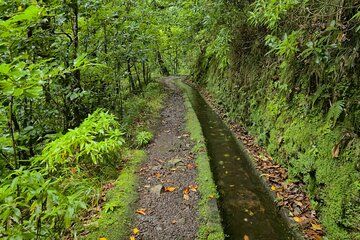 Levada dos Tornos Hiking Adventure in Madeira