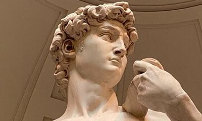 Florence Accademia Gallery Entrance Tickets with Local Guide