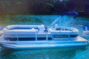 Friday and Saturday 1 pm Dolphin Tour