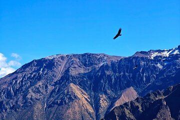 From Arequipa Full Day Tour to Colca Canyon