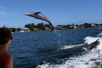 Siesta Key 2 Hour Private Charter-Dolphin Tour or Sunset