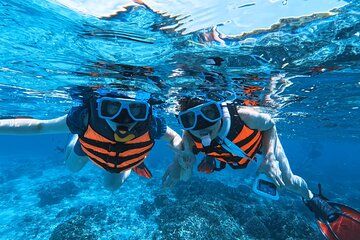 Oslob Whale Shark and Sumilon Island Snorkeling Tour with Lunch