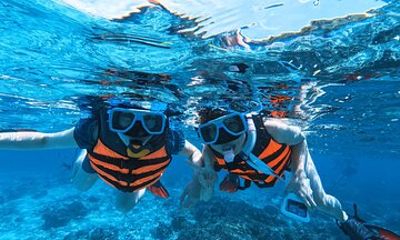 Oslob Whale Shark and Sumilon Island Snorkeling Tour with Lunch