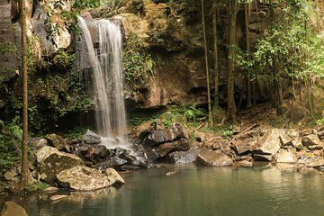 Tamborine Mountain Winery and Glow Worm Caves Tour