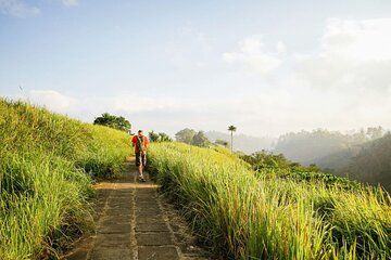 Ubud Village Walking Tour by Licensed Tour Guide