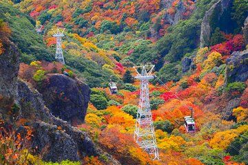 Shodoshima Scenic Tour by Private Vehicle