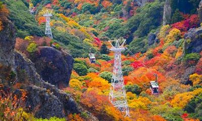 Shodoshima Scenic Tour by Private Vehicle