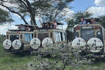 4 Day Tanzania Safari Tarangire Serengeti and Ngorongoro Crater