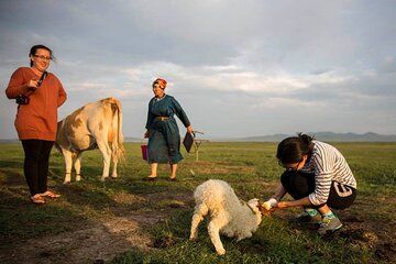 Khustain Nuruu National Park Shared Two Day Tour