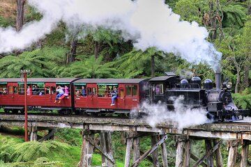 Puffing Billy and Phillip Island Wildlife Day Tour