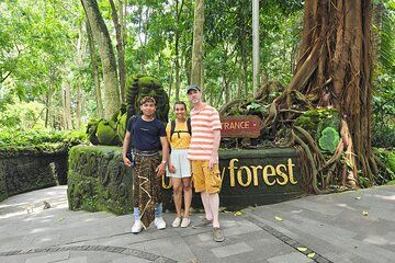 All Inclusive Ubud Tour Sacred Monkey Forest and Rice Terraces