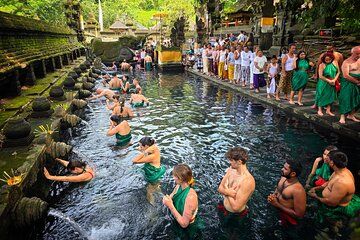 Ubud Tour Monkey Forest Jungle Swing Temple and Waterfall