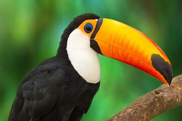 Argentina Special Deal Buenos Aires Iguazu Falls and Patagonia