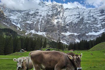 Three hidden Swiss gems