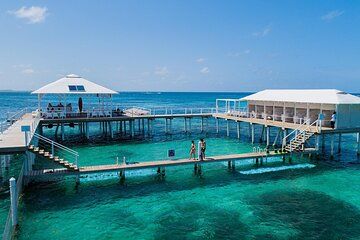 Reef Explorer Excursion from Bayahibe by Marinarium