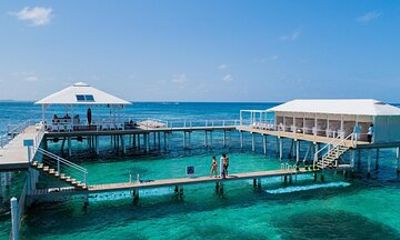Reef Explorer Excursion from Bayahibe by Marinarium