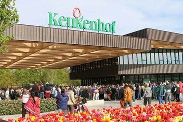 Private Round Trip Taxi to Keukenhof Tulip Fields