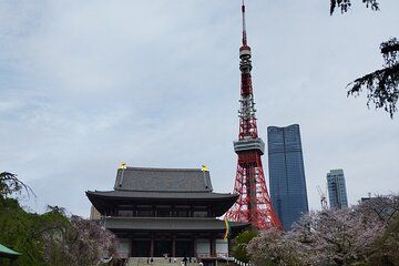 Tour the Heart of Tokyo