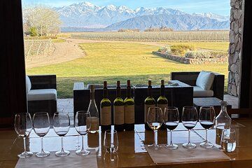Wine Tasting and Harmonized Lunch Tour in Mendoza