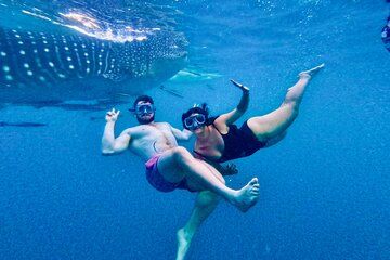 Oslob Cebu Giants and Sumilon Island Adventure