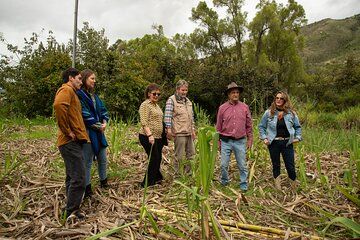 Experience to Learn to Distill in Paute