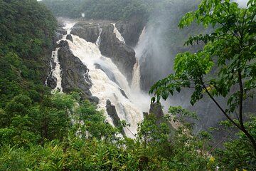 Private Luxury Tour Above the Canopy Kuranda Experience