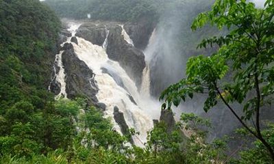 Private Luxury Tour Kuranda Experience