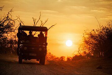 7 Day Luxury Safari Chobe Okavango Delta and Victoria Falls