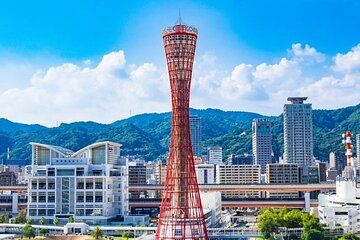 From Osaka: Kobe Sake Brewery Private Day Tour by Car