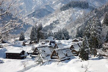 Sho Time Gokayama Private Car Custom Tour