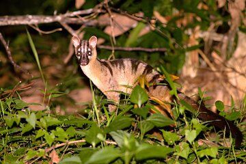 Tawau: 4D3N Maliau Basin Hiking Expedition