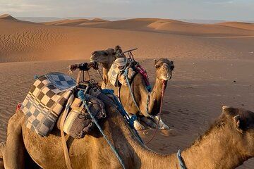 3-Day Sahara Desert Tour from Marrakech with Camel Ride