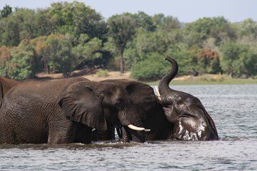 7 Day Zimbabwe Bostwana Safari