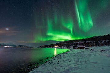 Northern Lights Chase and Arctic Evening in Malangen