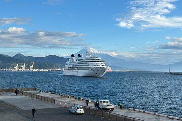 Private Sightseeing Tour from Shimizu Port Medium Bus