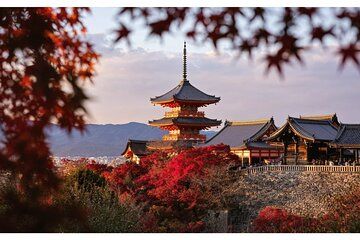 Kyoto and Nara Day Tour Fushimi Inari Kiyomizu dera Nara Park