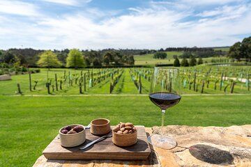 McLaren Vale Wine & Hills Discovery – Adelaide Private Shore Tour