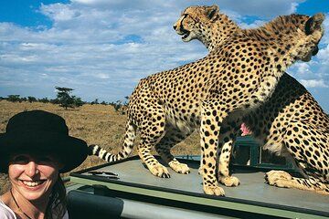 11 Day Leisure Game Safari and Beach Holiday Combo