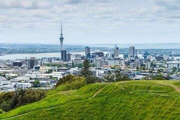 Private Auckland Full-Day Sightseeing Tour with Mount Eden