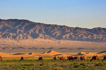 8 Days Gobi Desert and Kharkhorin Journey