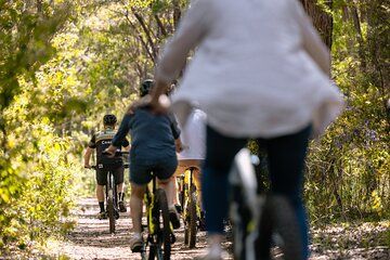 Half Day Wadandi Track Scenic E-Bike Tour