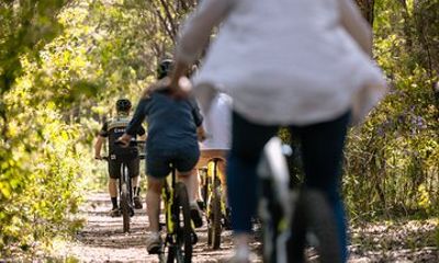 Half Day Wadandi Track Scenic E-Bike Tour