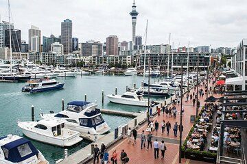 Auckland to Volcanoes: North Island Self-Guided Adventure